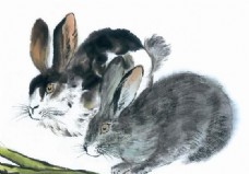 兔子十二生肖中国画0021