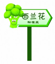 绿色蔬菜西兰花指示牌