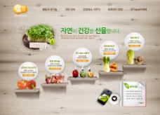 水果宣传水果蔬菜宣传网页模板图片