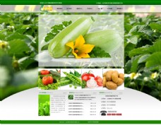 绿色蔬菜蔬菜种植企业网页