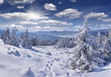 唯美冬季雪景图片