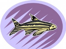 五彩小鱼 水生动物 矢量素材 EPS格式_0696