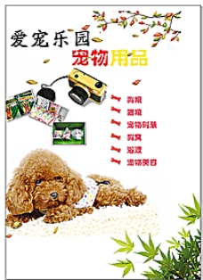 宠物狗宠物用品海报图片