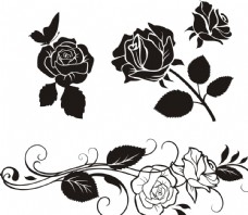 复古花纹黑白玫瑰花图片