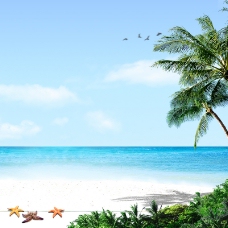夏威夷风情海边美景背景图