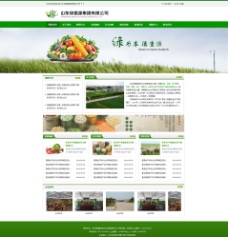 绿色蔬菜农业产品网页图片
