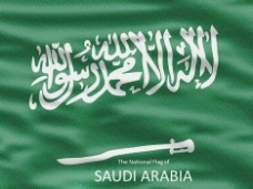 沙拉沙乌地阿拉伯国旗的PowerPoint模板