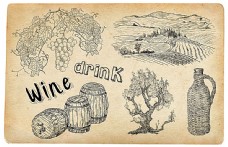 葡萄酒酒桶葡萄树木葡萄园线稿图案