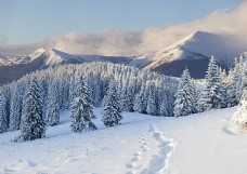 冬天雪山风景与森林雪景