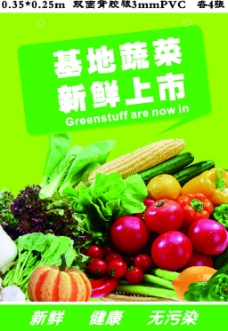 绿色蔬菜基地蔬菜新鲜上市