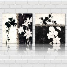 黑白艺术花朵壁画