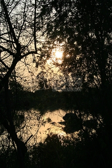 池塘日落