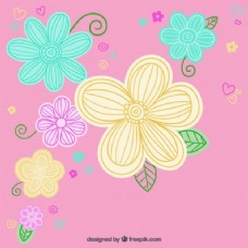 粉色背景的彩色花