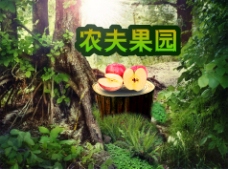 淘宝苹果水果海报