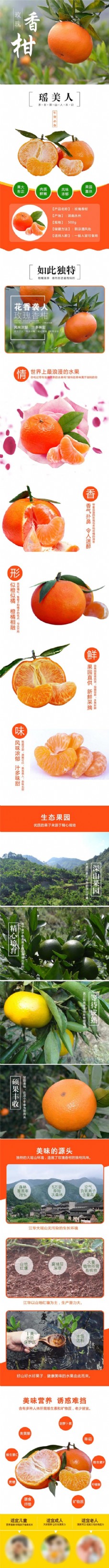 柑橘玫瑰香柑详情页