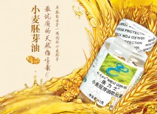 康力士小麦胚芽油广告图片