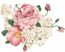 欧式复古清新怡人色彩鲜艳古典复古美式欧式玫瑰花