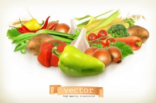新鲜的蔬菜设计矢量素材
