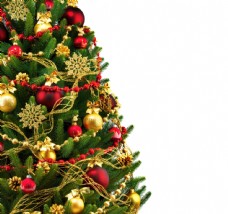 圣诞树背景边框