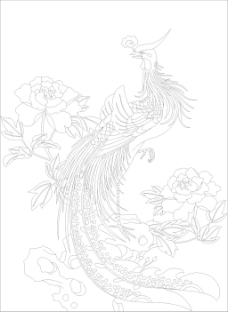 凤凰牡丹假山线绘矢量