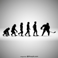 球类曲棍球人类进化