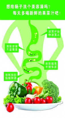 绿色蔬菜肠道海报