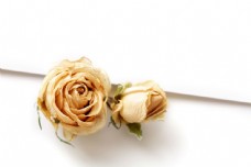 婚礼玫瑰花背景图片