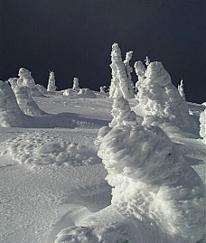 冰雪世界自然风景贴图素材JPG0306