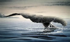 鲸 动物 丙烯画 装饰画_0004
