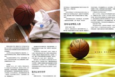 企业类篮球书籍图片