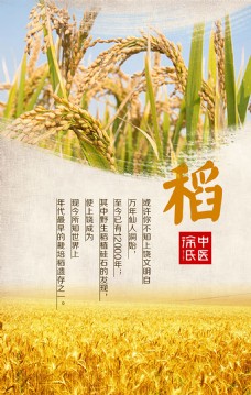 图片素材水稻宣传海报