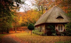 秋天的茅草屋图片