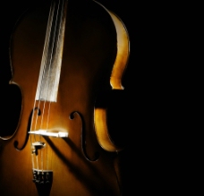 唯美提琴图片