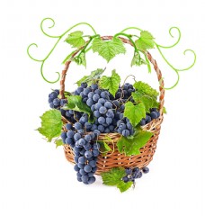 绿色叶子水果篮子里的葡萄