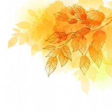秋季新品秋天背景图片