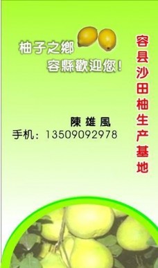 绿色蔬菜果品蔬菜名片模板CDR0027