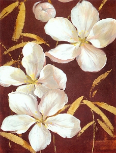 白色花白色的茉莉花油画图片