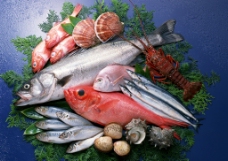 摆盘鱼类食材