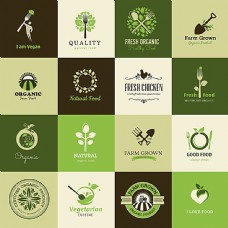 绿色叶子餐饮图标设计