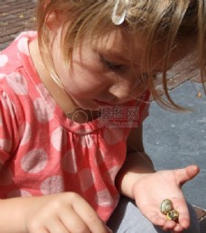 捡贝壳的小女孩
