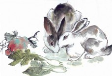兔子十二生肖中国画0019