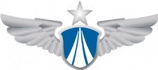 富侨logo中国空军LOGO