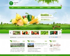 绿色蔬菜生态农业企业网站