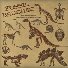 恐龙骨骼远古巨龟巨蜥化石恐龙化石PS笔刷下载