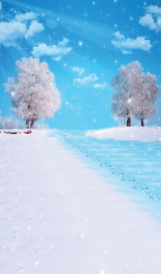 唯美雪景图片