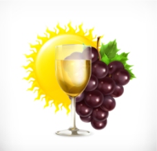 葡萄 葡萄酒图片