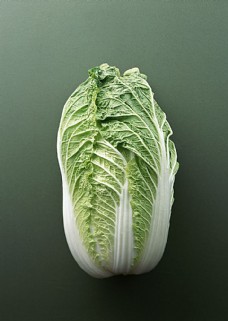 绿色蔬菜大白菜摄影高清图片
