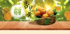 淘宝素材淘宝海报素材水果杏子海报
