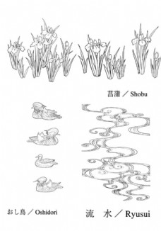 多彩的背景菖蒲流水鸟图片