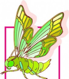 甲虫 昆虫 矢量素材 EPS格式_0196